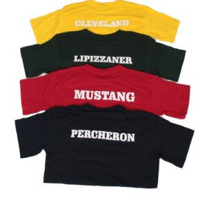 BC House Shirts